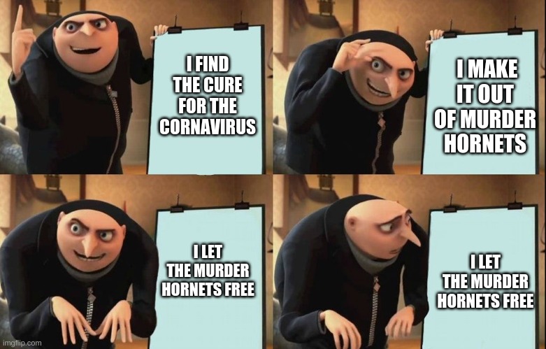 this is how it happened | I MAKE IT OUT OF MURDER HORNETS; I FIND THE CURE FOR THE CORNAVIRUS; I LET THE MURDER HORNETS FREE; I LET THE MURDER HORNETS FREE | image tagged in despicable me diabolical plan gru template | made w/ Imgflip meme maker
