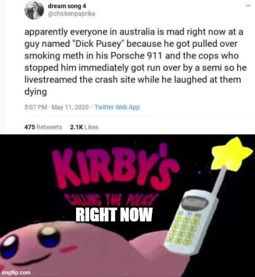 you are never coming back outside | RIGHT NOW | image tagged in kirby's calling the police | made w/ Imgflip meme maker