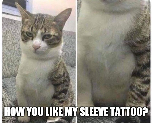 TATTOO | HOW YOU LIKE MY SLEEVE TATTOO? | image tagged in cats,funny cats | made w/ Imgflip meme maker