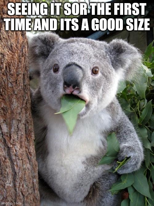 Surprised Koala Meme | SEEING IT SOR THE FIRST TIME AND ITS A GOOD SIZE | image tagged in memes,surprised koala | made w/ Imgflip meme maker