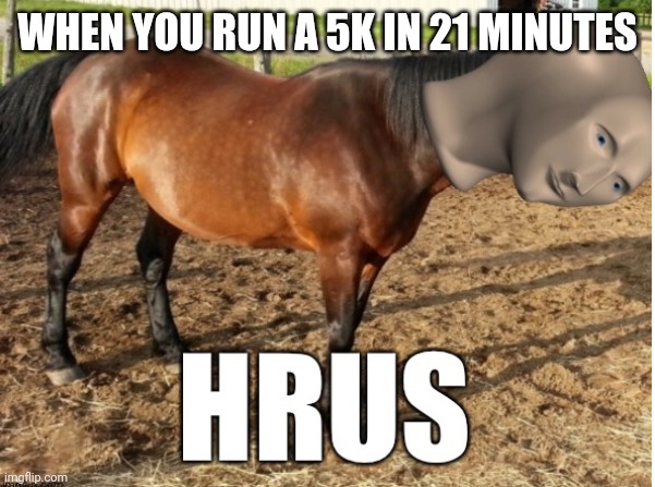 Meme man horse | WHEN YOU RUN A 5K IN 21 MINUTES | image tagged in meme man horse,memes,running | made w/ Imgflip meme maker