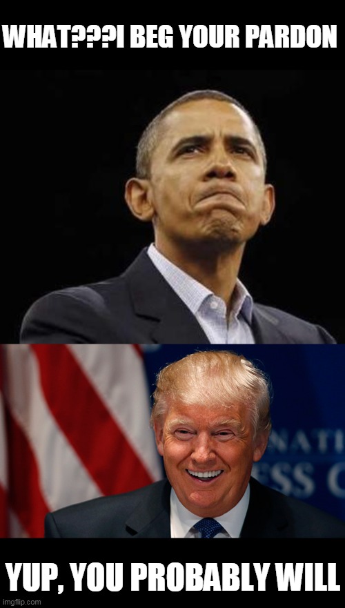 WHAT???I BEG YOUR PARDON YUP, YOU PROBABLY WILL | image tagged in laughing donald trump,vlad putin obama mad tantrum | made w/ Imgflip meme maker