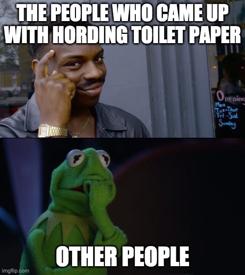 THE PEOPLE WHO CAME UP WITH HORDING TOILET PAPER; OTHER PEOPLE | image tagged in memes,roll safe think about it,kermit worried face | made w/ Imgflip meme maker