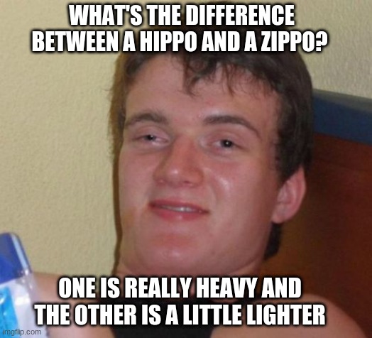 10 Guy Meme | WHAT'S THE DIFFERENCE BETWEEN A HIPPO AND A ZIPPO? ONE IS REALLY HEAVY AND THE OTHER IS A LITTLE LIGHTER | image tagged in memes,10 guy | made w/ Imgflip meme maker