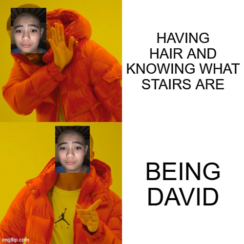 Drake Hotline Bling | HAVING HAIR AND KNOWING WHAT STAIRS ARE; BEING DAVID | image tagged in memes,drake hotline bling | made w/ Imgflip meme maker