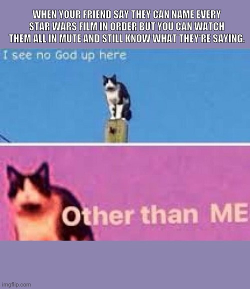 Star wars god | WHEN YOUR FRIEND SAY THEY CAN NAME EVERY STAR WARS FILM IN ORDER BUT YOU CAN WATCH THEM ALL IN MUTE AND STILL KNOW WHAT THEY'RE SAYING. | image tagged in star wars | made w/ Imgflip meme maker