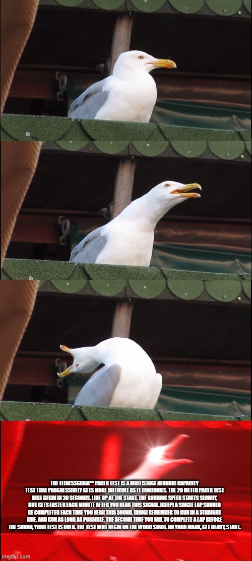Inhaling Seagull Meme | THE FITNESSGRAM™ PACER TEST IS A MULTISTAGE AEROBIC CAPACITY TEST THAT PROGRESSIVELY GETS MORE DIFFICULT AS IT CONTINUES. THE 20 METER PACER | image tagged in memes,inhaling seagull | made w/ Imgflip meme maker