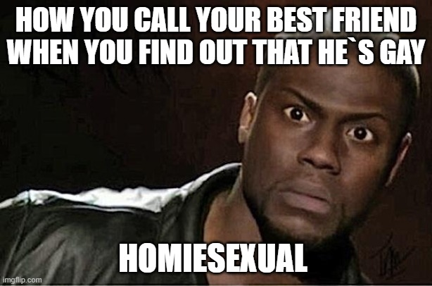 The best way to put it... | HOW YOU CALL YOUR BEST FRIEND WHEN YOU FIND OUT THAT HE`S GAY; HOMIESEXUAL | image tagged in memes,bffs,funny,jokes | made w/ Imgflip meme maker