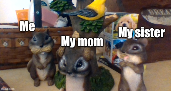Dinner be like.... | Me; My sister; My mom | image tagged in memes | made w/ Imgflip meme maker