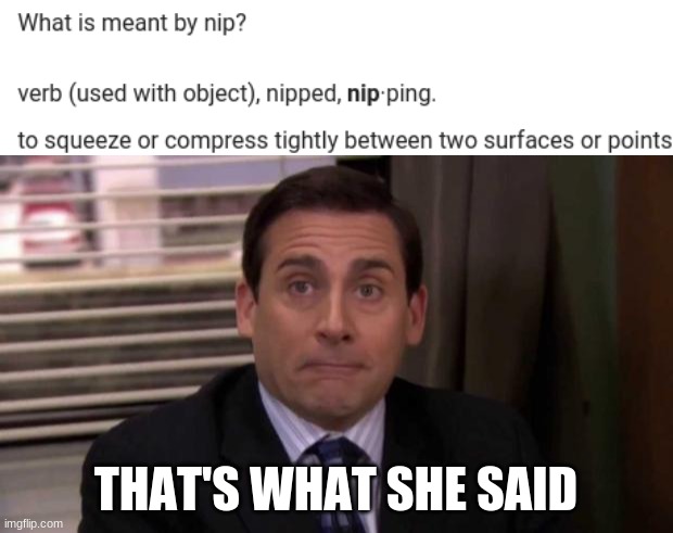 That just sounds so wrong. | THAT'S WHAT SHE SAID | image tagged in that's what she said | made w/ Imgflip meme maker