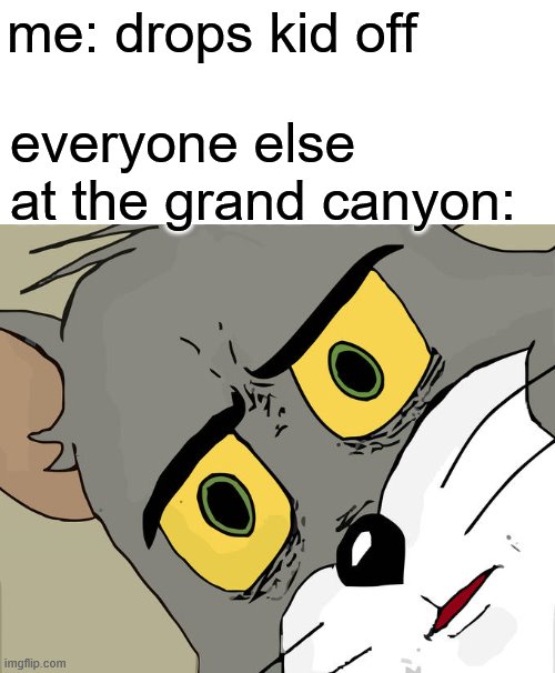 Unsettled Tom Meme | me: drops kid off; everyone else at the grand canyon: | image tagged in memes,unsettled tom | made w/ Imgflip meme maker
