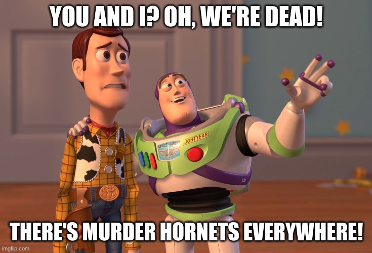 theres murder hornets everywhere | YOU AND I? OH, WE'RE DEAD! THERE'S MURDER HORNETS EVERYWHERE! | image tagged in memes,x x everywhere,murder hornets | made w/ Imgflip meme maker