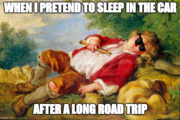 When I pretend to sleep in the car | WHEN I PRETEND TO SLEEP IN THE CAR; AFTER A LONG ROAD TRIP | image tagged in relatable | made w/ Imgflip meme maker