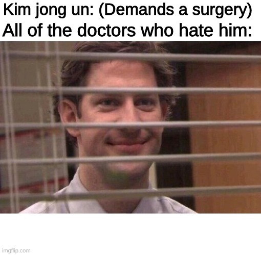 Jim Office Blinds | Kim jong un: (Demands a surgery); All of the doctors who hate him: | image tagged in jim office blinds,memes,surgery,kim jong un,doctor | made w/ Imgflip meme maker