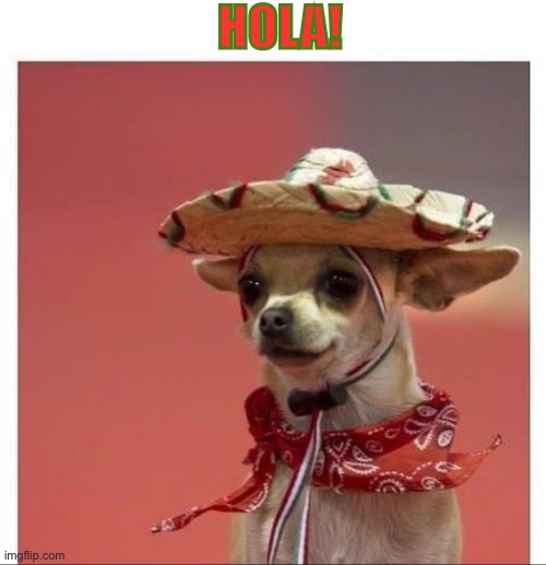 HOLA! | made w/ Imgflip meme maker