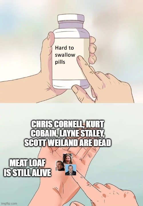 Speaking as a child of the 90s | CHRIS CORNELL, KURT COBAIN, LAYNE STALEY, SCOTT WEILAND ARE DEAD; MEAT LOAF IS STILL ALIVE | image tagged in memes,hard to swallow pills,meatloaf,dead people,90's,rock and roll | made w/ Imgflip meme maker