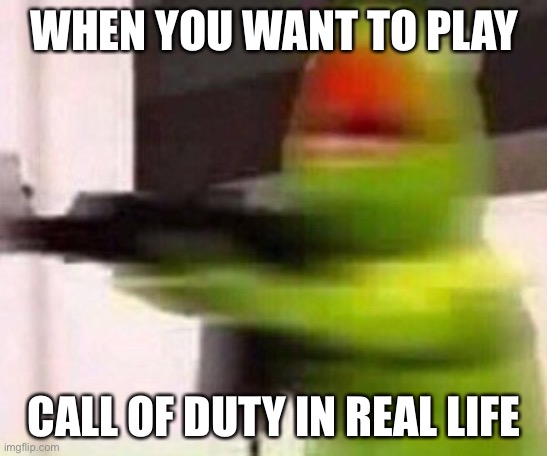school shooter (muppet) | WHEN YOU WANT TO PLAY; CALL OF DUTY IN REAL LIFE | image tagged in school shooter muppet | made w/ Imgflip meme maker