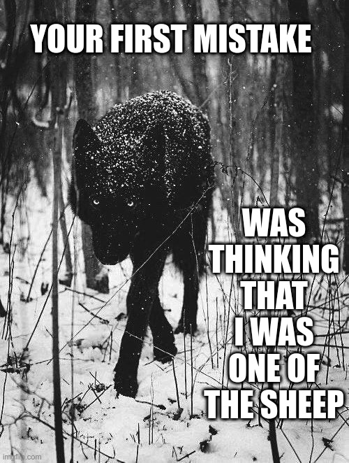 Misunderstood | YOUR FIRST MISTAKE; WAS THINKING THAT I WAS ONE OF THE SHEEP | image tagged in misunderstood,wolf,first mistake,political meme | made w/ Imgflip meme maker