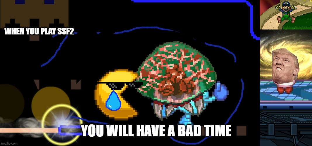 when you play ssf2 you will have a bad time | WHEN YOU PLAY SSF2; YOU WILL HAVE A BAD TIME | image tagged in funny memes | made w/ Imgflip meme maker