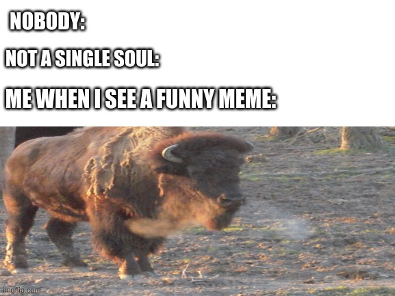 NOBODY:; NOT A SINGLE SOUL:; ME WHEN I SEE A FUNNY MEME: | made w/ Imgflip meme maker
