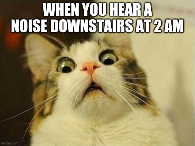 Scared cat | WHEN YOU HEAR A NOISE DOWNSTAIRS AT 2 AM | image tagged in memes,scared cat | made w/ Imgflip meme maker