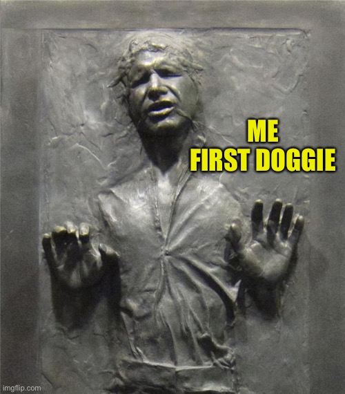 Han Solo Frozen Carbonite | ME FIRST DOGGIE | image tagged in han solo frozen carbonite | made w/ Imgflip meme maker