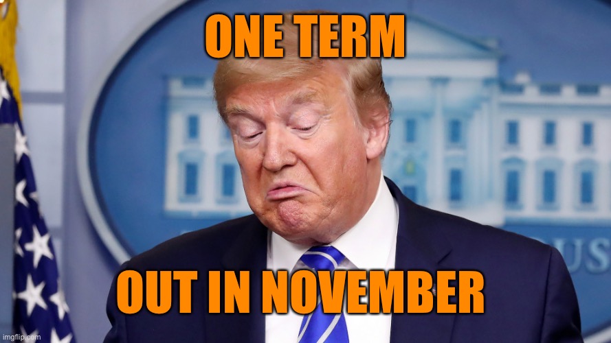 ONE TERM OUT IN NOVEMBER | made w/ Imgflip meme maker