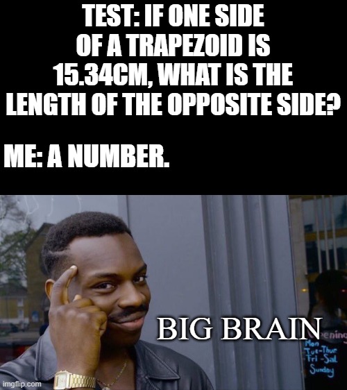 Roll Safe Think About It Meme | TEST: IF ONE SIDE OF A TRAPEZOID IS 15.34CM, WHAT IS THE LENGTH OF THE OPPOSITE SIDE? ME: A NUMBER. BIG BRAIN | image tagged in memes,roll safe think about it | made w/ Imgflip meme maker
