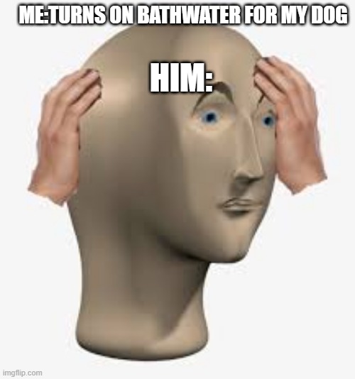 HIM:; ME:TURNS ON BATHWATER FOR MY DOG | made w/ Imgflip meme maker