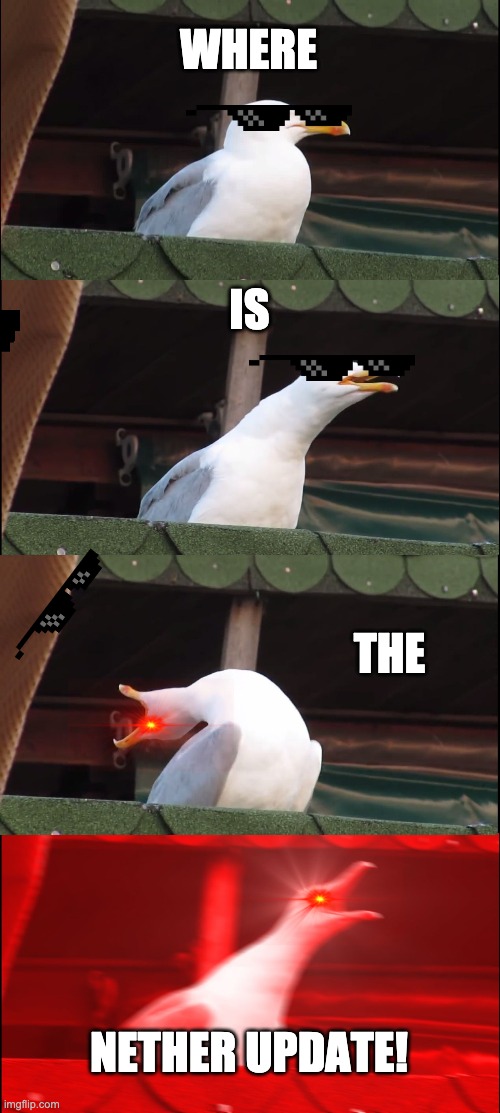 Inhaling Seagull Meme | WHERE; IS; THE; NETHER UPDATE! | image tagged in memes,inhaling seagull | made w/ Imgflip meme maker