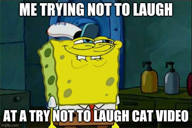 cats are the funniest animals | ME TRYING NOT TO LAUGH; AT A TRY NOT TO LAUGH CAT VIDEO | image tagged in memes,don't you squidward | made w/ Imgflip meme maker