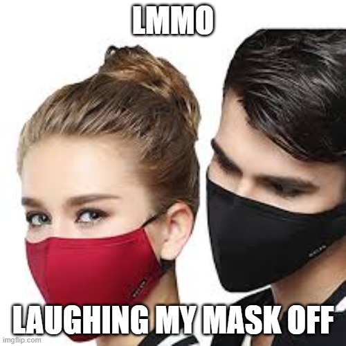 Laughing My Mask Off | LMMO; LAUGHING MY MASK OFF | image tagged in mask couple | made w/ Imgflip meme maker