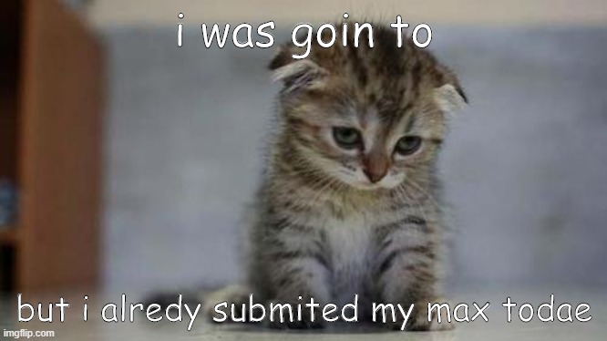 Sad kitten | i was goin to but i alredy submited my max todae | image tagged in sad kitten | made w/ Imgflip meme maker