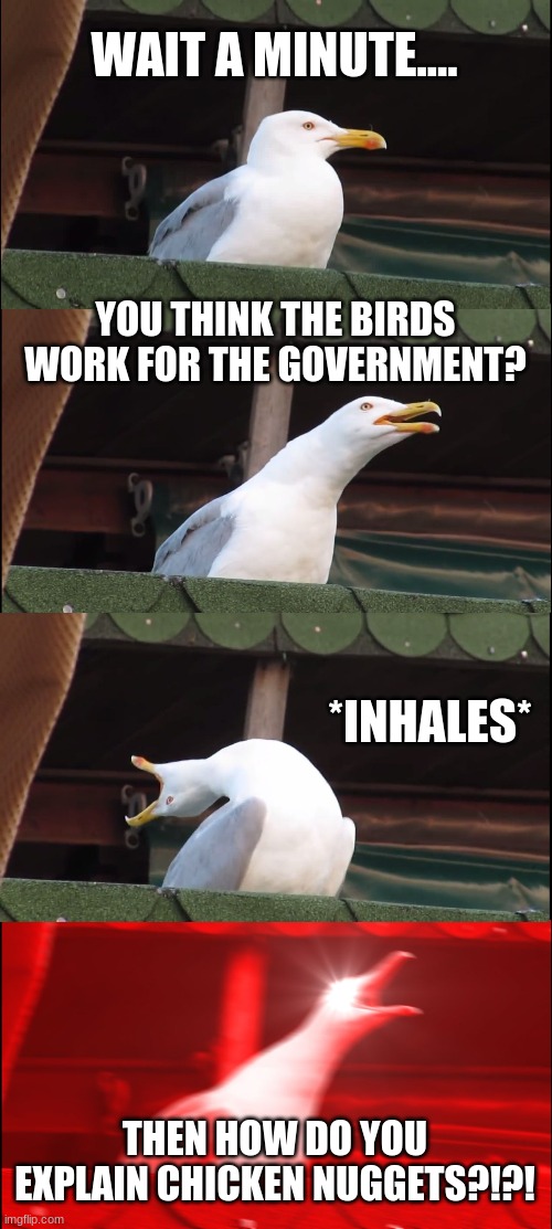 Inhaling Seagull | WAIT A MINUTE.... YOU THINK THE BIRDS WORK FOR THE GOVERNMENT? *INHALES*; THEN HOW DO YOU EXPLAIN CHICKEN NUGGETS?!?! | image tagged in memes,inhaling seagull | made w/ Imgflip meme maker