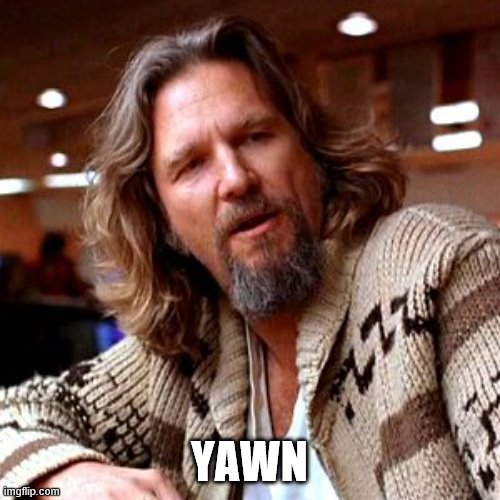 Confused Lebowski Meme | YAWN | image tagged in memes,confused lebowski | made w/ Imgflip meme maker