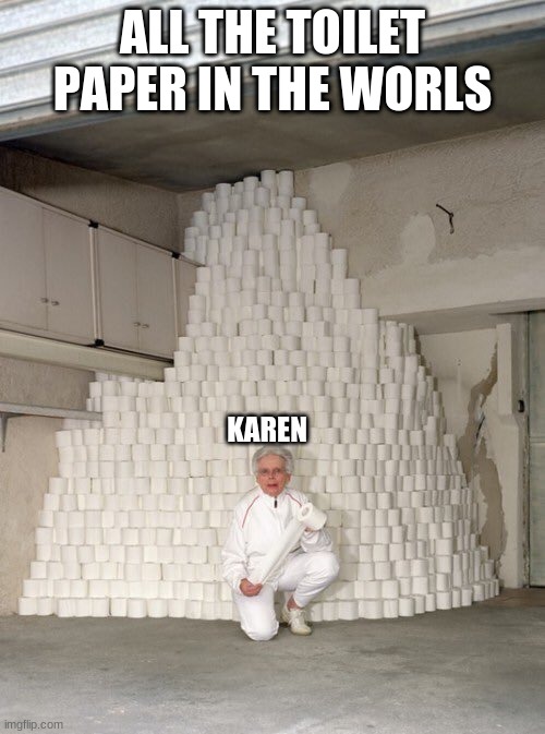 mountain of toilet paper | ALL THE TOILET PAPER IN THE WORLS; KAREN | image tagged in mountain of toilet paper | made w/ Imgflip meme maker