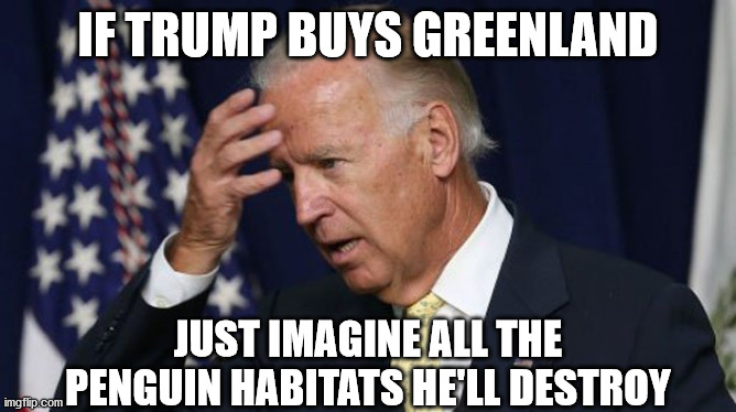 Joe Biden worries | IF TRUMP BUYS GREENLAND; JUST IMAGINE ALL THE PENGUIN HABITATS HE'LL DESTROY | image tagged in joe biden worries,greenland,trump,penguins,biden | made w/ Imgflip meme maker