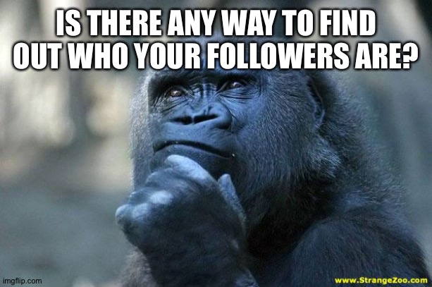 Deep Thoughts | IS THERE ANY WAY TO FIND OUT WHO YOUR FOLLOWERS ARE? | image tagged in deep thoughts | made w/ Imgflip meme maker