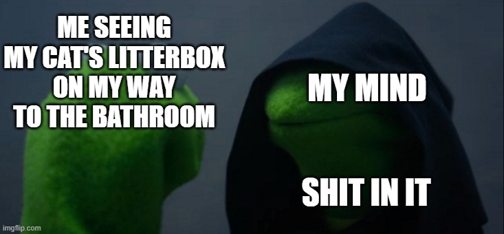 Evil Kermit meme | MY MIND; ME SEEING MY CAT'S LITTERBOX ON MY WAY TO THE BATHROOM; SHIT IN IT | image tagged in memes,evil kermit,toilet humor,poop,cats | made w/ Imgflip meme maker