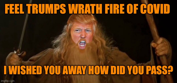FEEL TRUMPS WRATH FIRE OF COVID I WISHED YOU AWAY HOW DID YOU PASS? | made w/ Imgflip meme maker