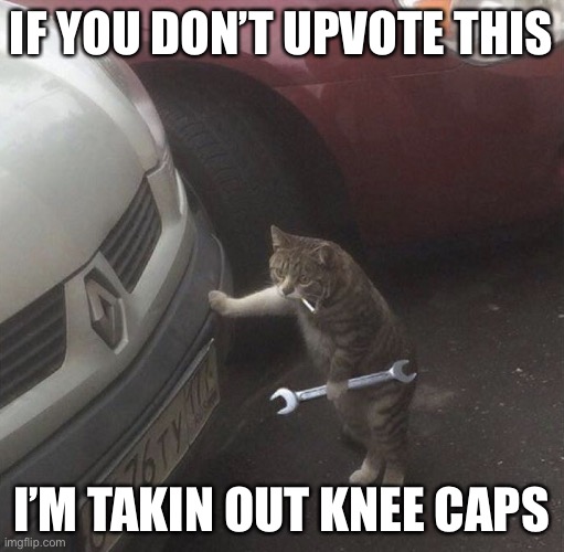 Smokin Wrench Cat | IF YOU DON’T UPVOTE THIS; I’M TAKIN OUT KNEE CAPS | image tagged in smokin wrench cat | made w/ Imgflip meme maker