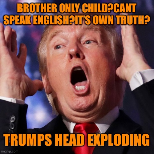 BROTHER ONLY CHILD?CANT SPEAK ENGLISH?IT’S OWN TRUTH? TRUMPS HEAD EXPLODING | made w/ Imgflip meme maker