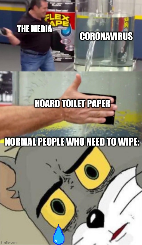 Plz, stop. Might need to use banana peels | CORONAVIRUS; THE MEDIA; HOARD TOILET PAPER; NORMAL PEOPLE WHO NEED TO WIPE: | image tagged in stop buying tp | made w/ Imgflip meme maker