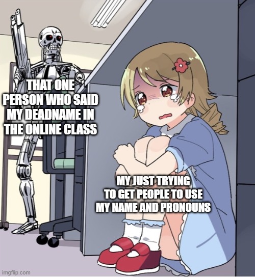 Anime Girl Hiding from Terminator | THAT ONE PERSON WHO SAID MY DEADNAME IN THE ONLINE CLASS; MY JUST TRYING TO GET PEOPLE TO USE MY NAME AND PRONOUNS | image tagged in anime girl hiding from terminator | made w/ Imgflip meme maker
