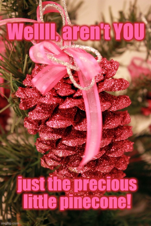 Wellll, aren't YOU; just the precious
little pinecone! | image tagged in precious,pinecone | made w/ Imgflip meme maker