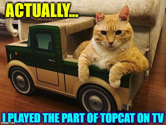 Topcat was one of the 1st Cartoons Aired Prime-time (1962) | ACTUALLY... I PLAYED THE PART OF TOPCAT ON TV | image tagged in vince vance,cats,funny cat memes,trucker,cat,new memes | made w/ Imgflip meme maker