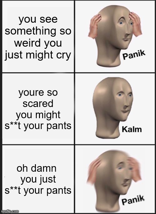 LMFO | you see something so weird you just might cry; youre so scared you might s**t your pants; oh damn  you just s**t your pants | image tagged in memes,panik kalm panik | made w/ Imgflip meme maker
