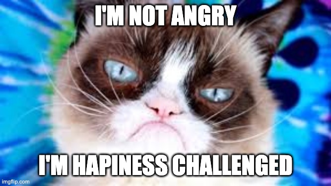 i'm not angry | I'M NOT ANGRY; I'M HAPINESS CHALLENGED | image tagged in cats,happiness,funny | made w/ Imgflip meme maker