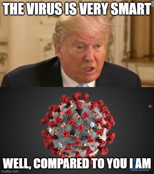 Dumbest. Potus. Ever | THE VIRUS IS VERY SMART; WELL, COMPARED TO YOU I AM | image tagged in covid 19,coronavirus,maga,donald trump is an idiot,memes,politics | made w/ Imgflip meme maker