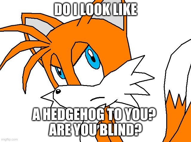 DO I LOOK LIKE A HEDGEHOG TO YOU? 
ARE YOU BLIND? | made w/ Imgflip meme maker